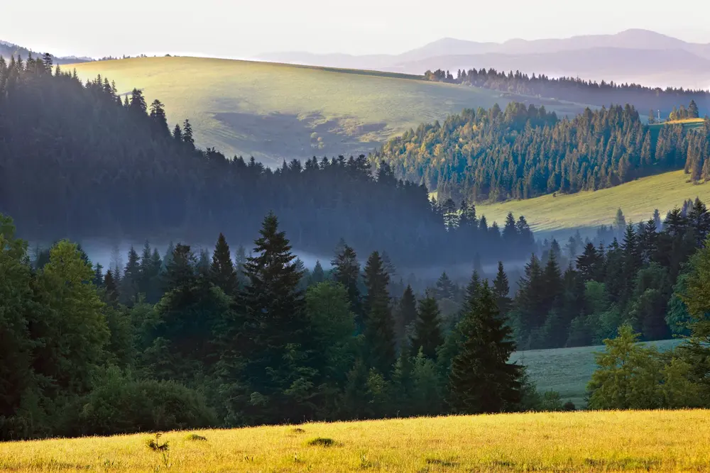 Pieniny